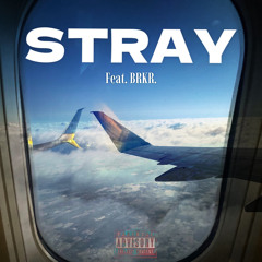 STRAY (feat. BRKR.)