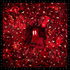 Iron & Wine - In Your Ocean