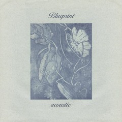 Blueprint - Character