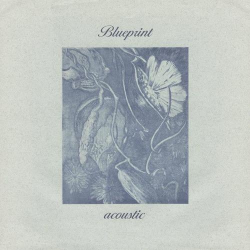 Blueprint - Character