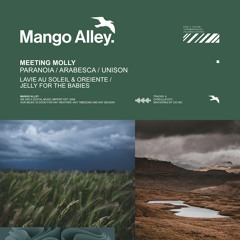 PREMIERE: Meeting Molly - Paranoia (Lavie Au Soleil & Oreiente Remix) [Mango Alley]