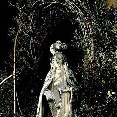 AngelCall (prod. xy1va)