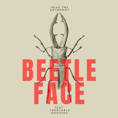 Beetle Face