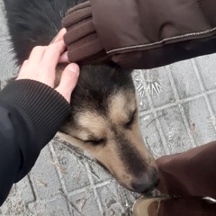 Obezbolll / 14 (prod. 22kageyoshi)