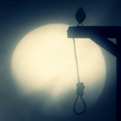 The Gallows
