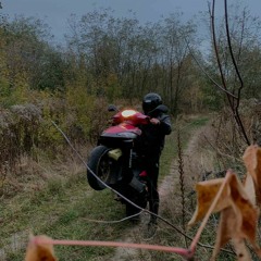 береги мою любовь