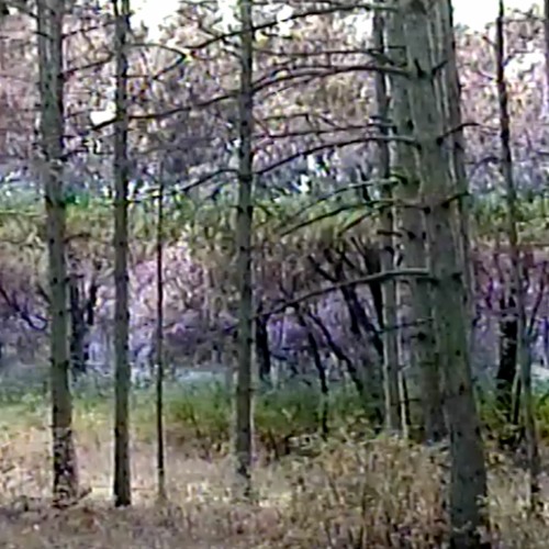 enter-normal [b-side]