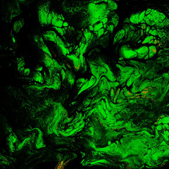 Speed of love (intrumental)