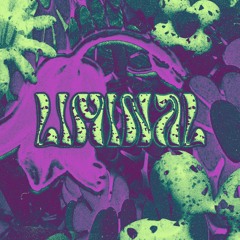 Liminal Collective II @ Trans-Pecos - 1/20/23