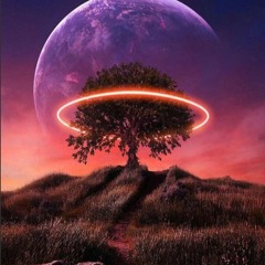 Vibratez - Serum Of Sound