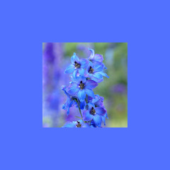 breathe