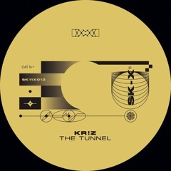 Kr!z - No Return [SK_eleven]