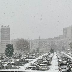 beautiful spleen (demo)