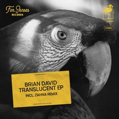 PREMIERE: Brian David - Translucent (ZAHNA Remix) [For Senses Records]