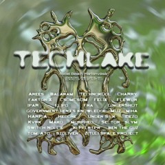 TECHLAKE 2025