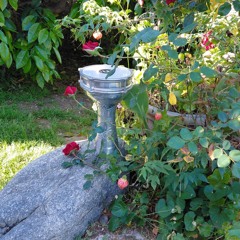 Echoes of a Distant Drum