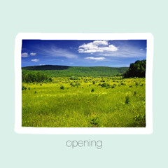 opening beat demo