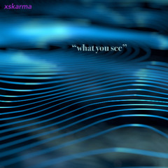 What You See