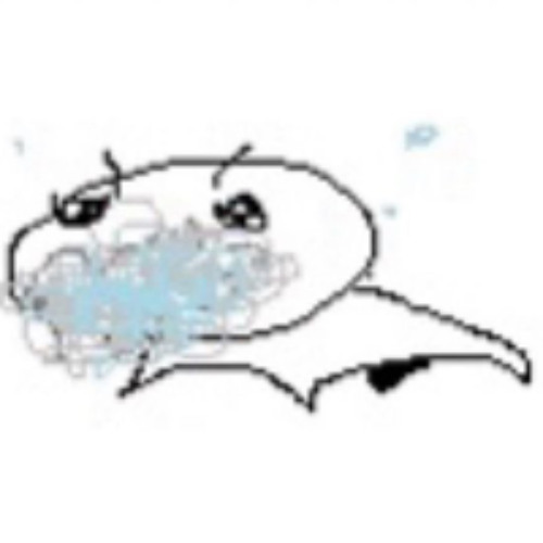 poop