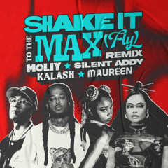 MOLIY, Silent Addy - Shake It To The Max (Fly) (RT & Rave Republic Festival Remix)