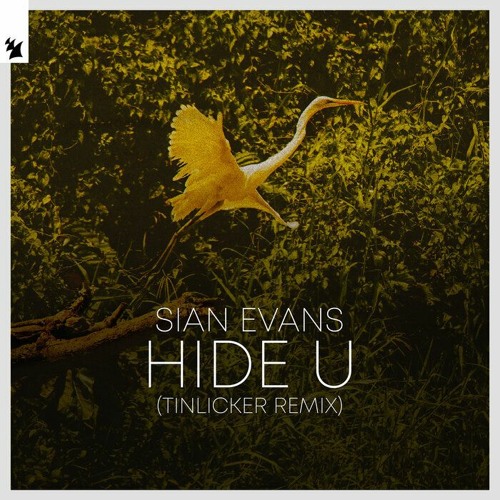 Sian Evans - Hide U (Tinlicker Extended Remix)