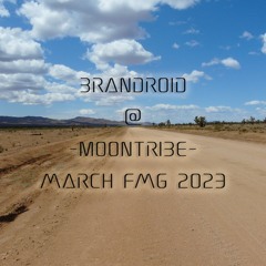 Brandroid @ Moontribe March 2023