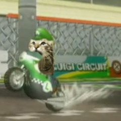 GCM Luigi Circuit, but it's MEOWSynth