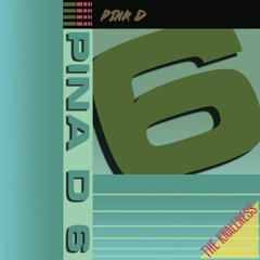 PINA D 6 – Program 2