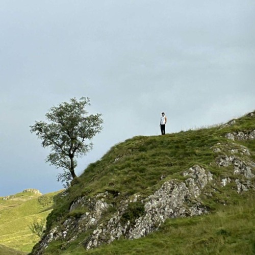 Please Say Something