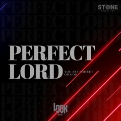 Look Project Dj - Perfect Lord (Original Mix)(Stone Music BR®)