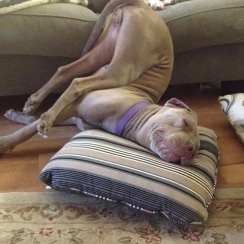 MTG PRA DORMIR KKK (MC KEVIN O CRIHS & RODRIGO DO CN)NO PIQUE BBB (DJ GS DO CG)