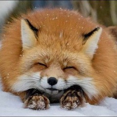 Summertime - Cinnamons (TRAP REMIX) Kimi No Toriko Song (Prod. Levnx) (320 kbps).mp3