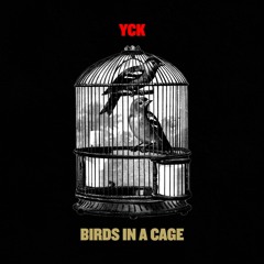 Birds in a Cage