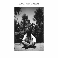 Freedom Fry - Another Dream