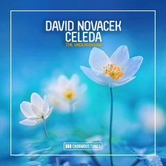 David Novacek ft. Celeda - The Underground