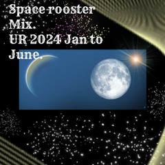 SPACE ROOSTER MIX JAN TO JUNE 2024