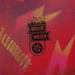 Marco Vone @Tumult Festival 24 [Bollerwiesen]