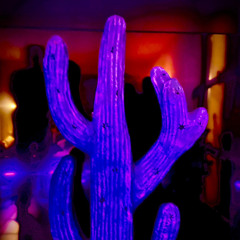 zum_Erhalt@Bennis BDAY 25.01.2025