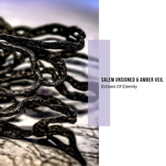 Salem Unsigned & Amber Veil - Echoes Of Eternity