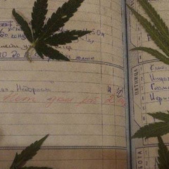 #SoMuchWorse (negative.creeper)