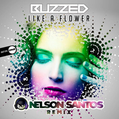 Buzzed-Like a Flower (Nelson Santos Remix) Sample.wav