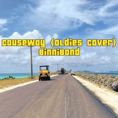 Causeway (Anrohasa Cover) - BinniBand