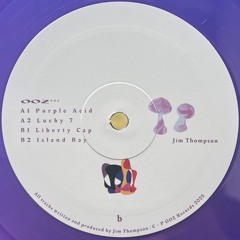 B2: Jim Thompson - Island Bay