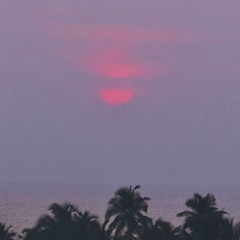 Coyote (Is It Balearic? Recordings)