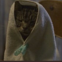 يمكن هلق صار نصيبي اني لاقي حبيب<: