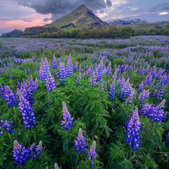 ❤️בשביל נועה