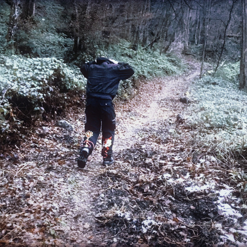 Everything I Have Is Yours