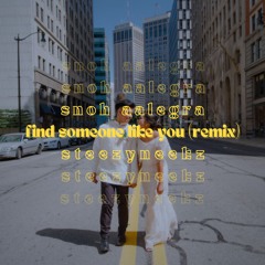 Snoh Aalegra - Find Someone Like You (steezyneekz Remix)