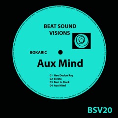 BSV20 - Bokaric - Aux Mind (Original Mix) -> SNIPPET