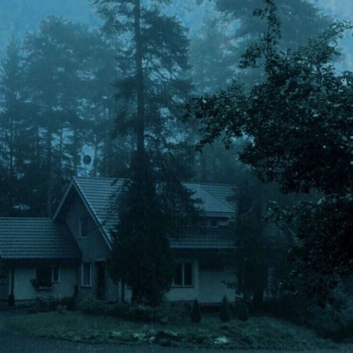 Thanks For the Music